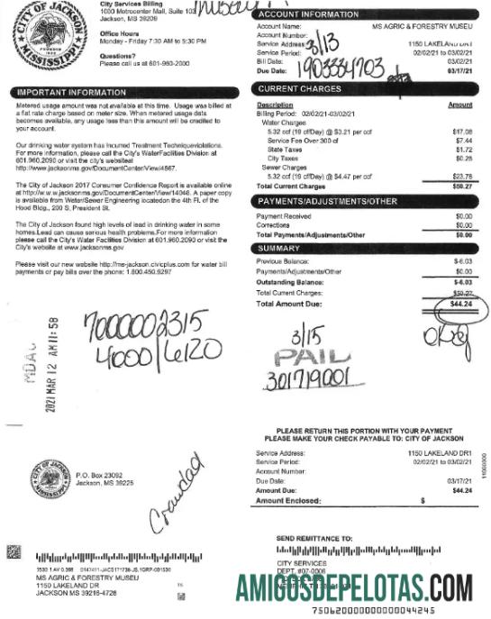 realista Modelo Word e PDF para conta de serviços públicos, CIDADE DE JACKSON, EUA